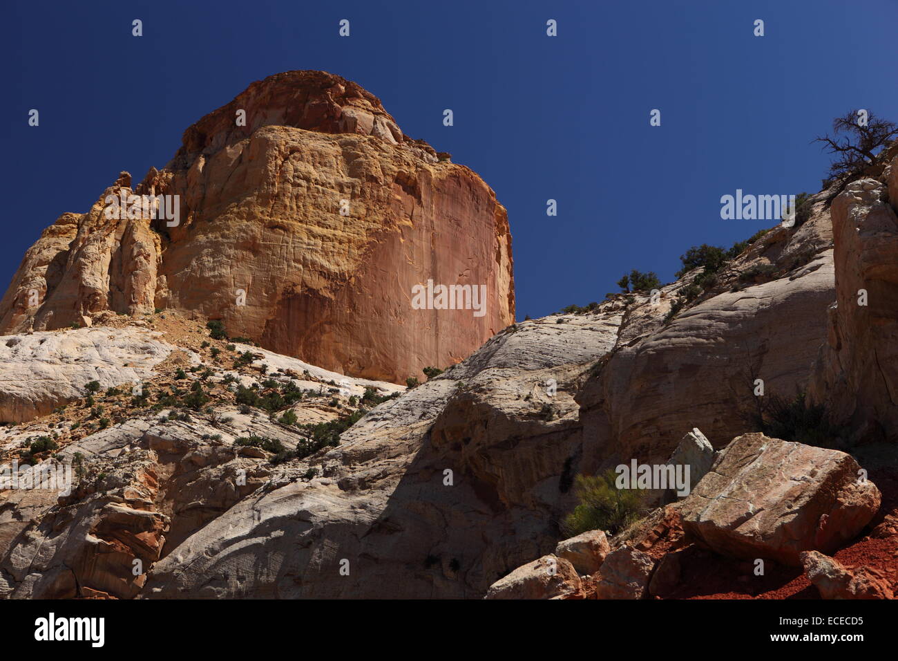 USA, Utah, Wayne County, goldenen Thron Felsformation Stockfoto