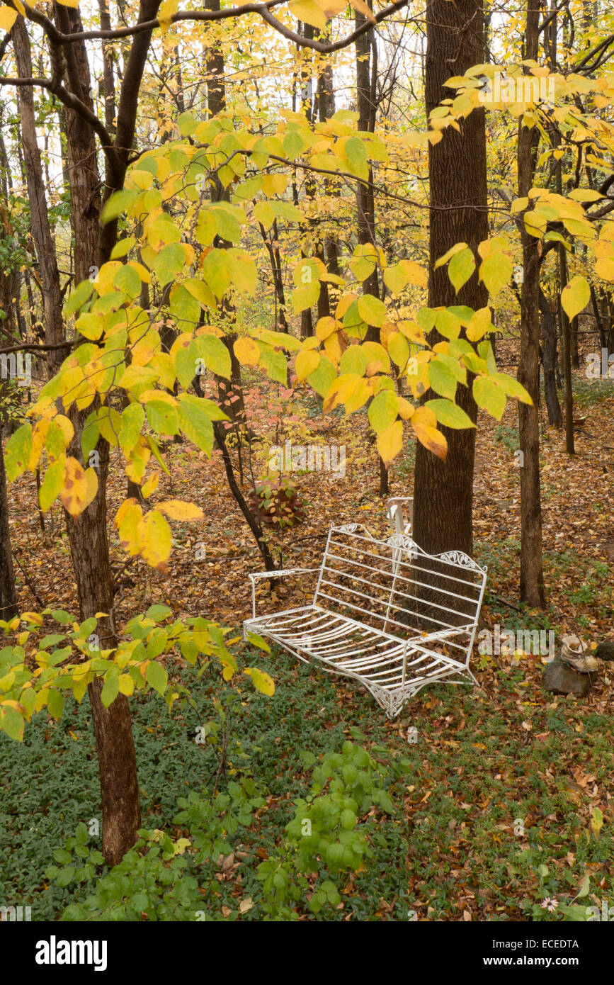Herbst-Szene mit Schmiedeeisen Sitz. Stockfoto