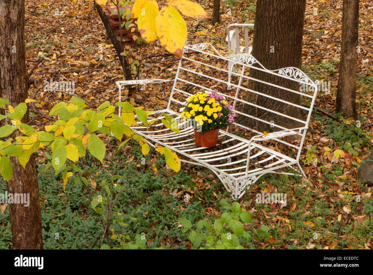 Herbst-Szene mit Schmiedeeisen Sitz. Stockfoto