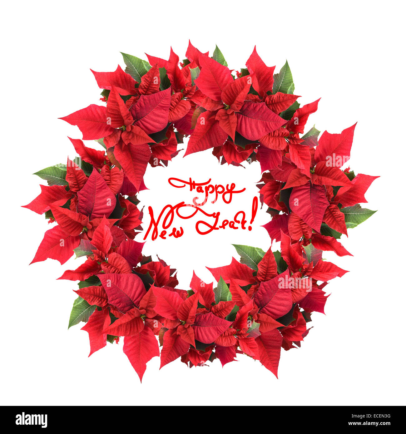Adventskranz mit Weihnachtsstern auf dem weien Hintergrund Stockfotografie  - Alamy