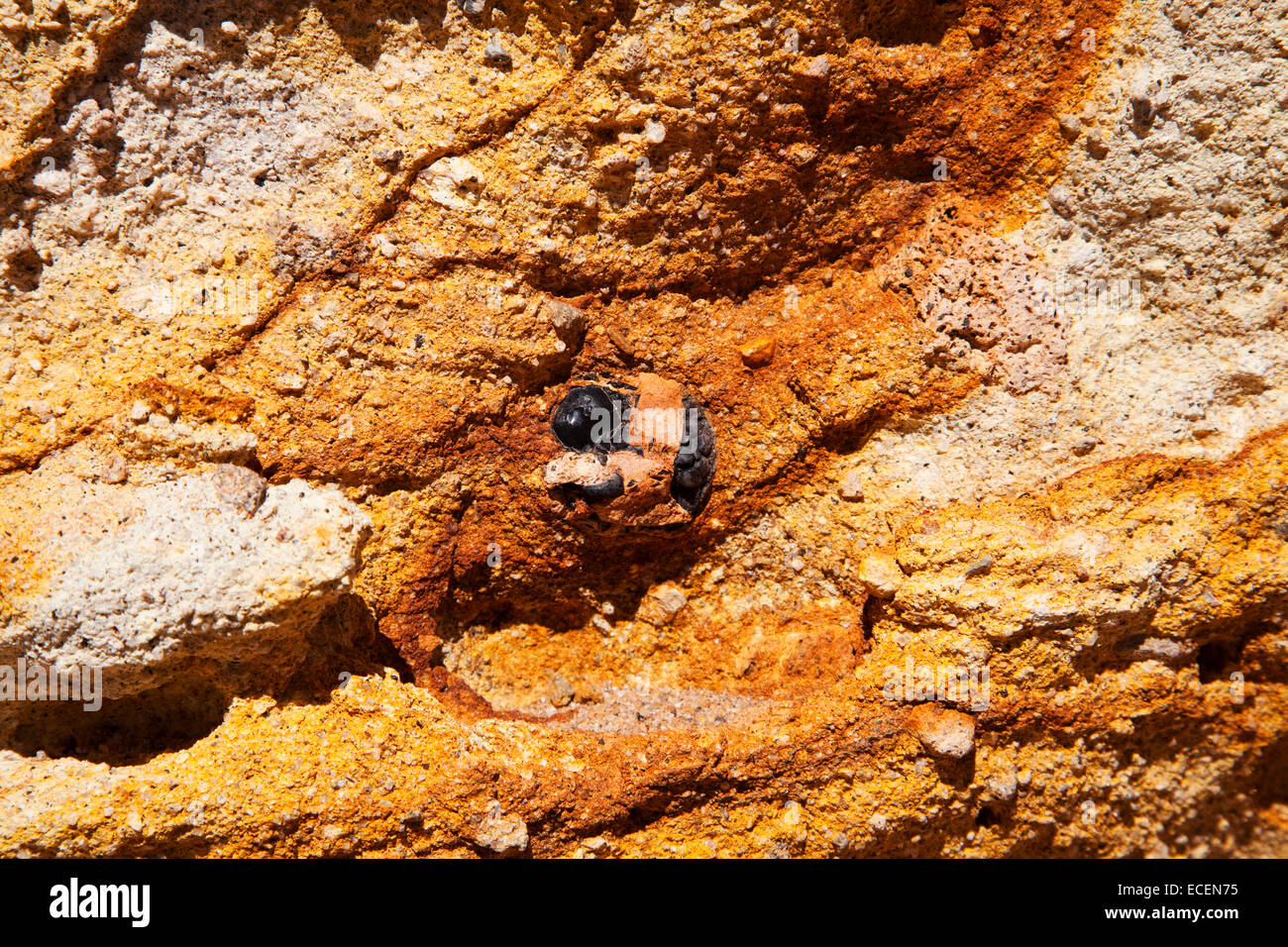 Obsidian eingebettet in vulkanischem Gestein, Atacamawüste, Chile Stockfoto