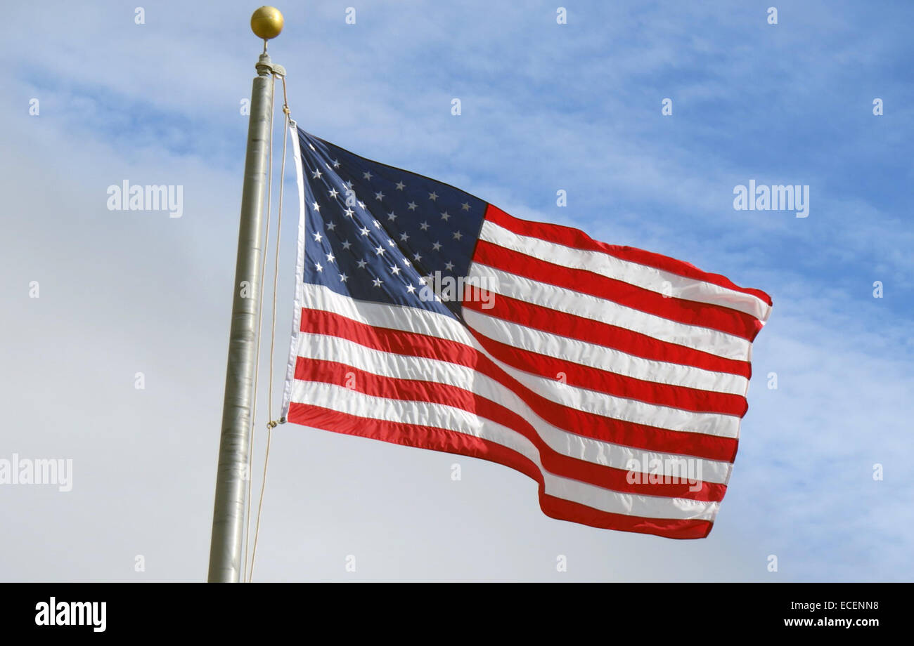 Flagge der Vereinigten Staaten von Amerika Foto Tony Gale Stockfoto