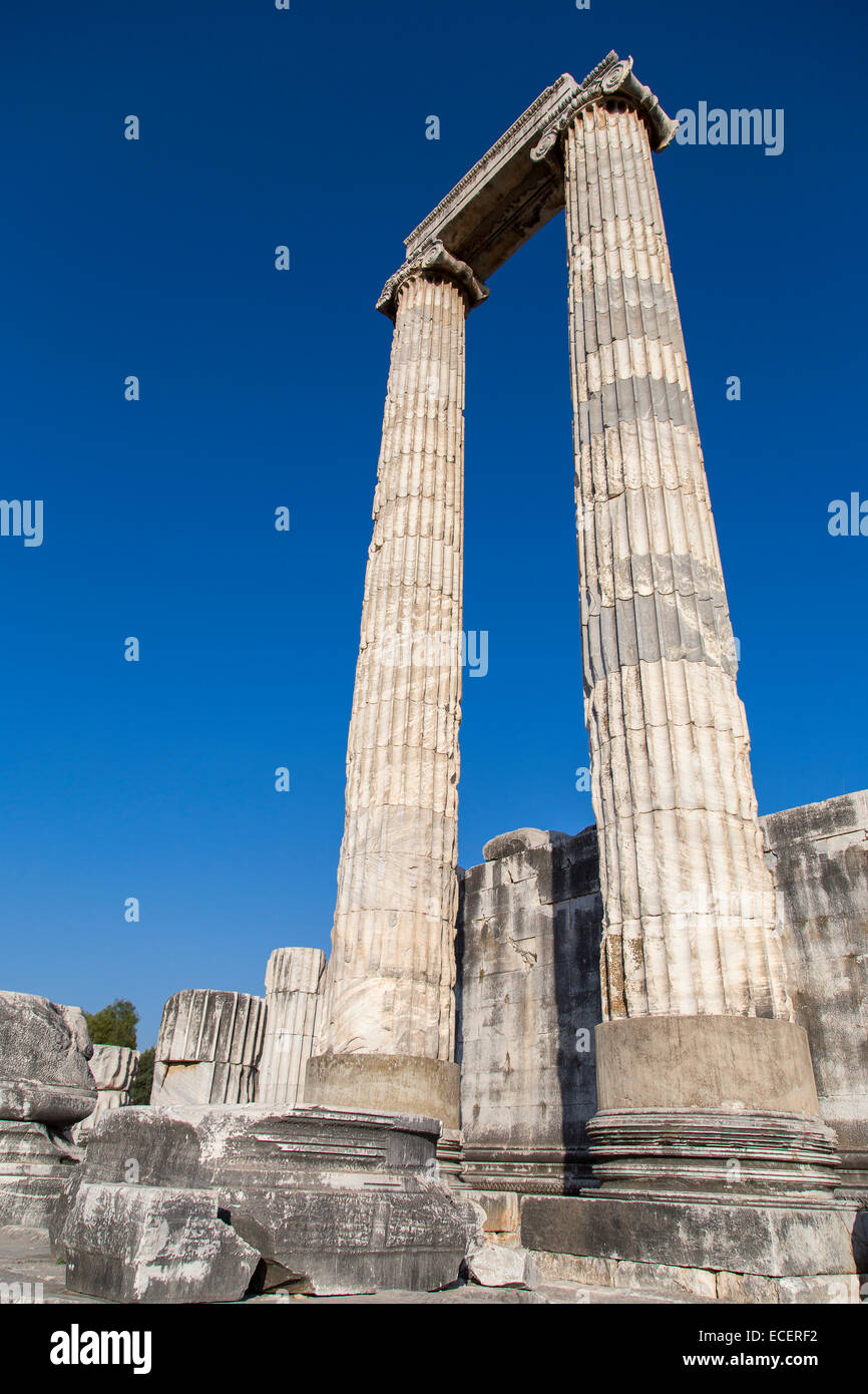 Spalten der Apollo-Tempel in Didyma antiken Stadt Didim Türkei 2014 Stockfoto