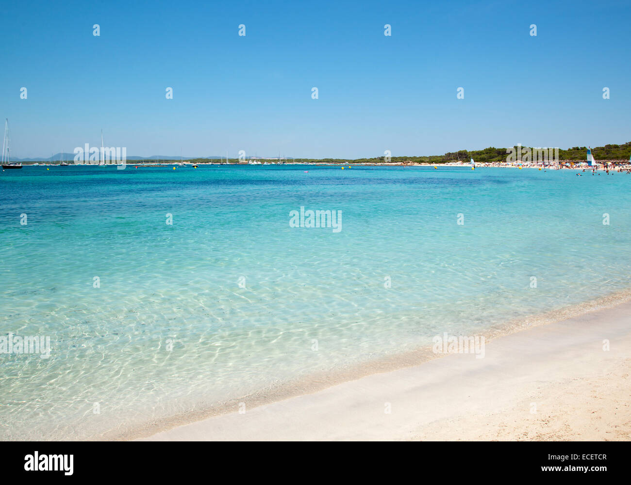Sandstrand, klare Meerwasser, Es Trenc, Mallorca, Spanien Stockfoto