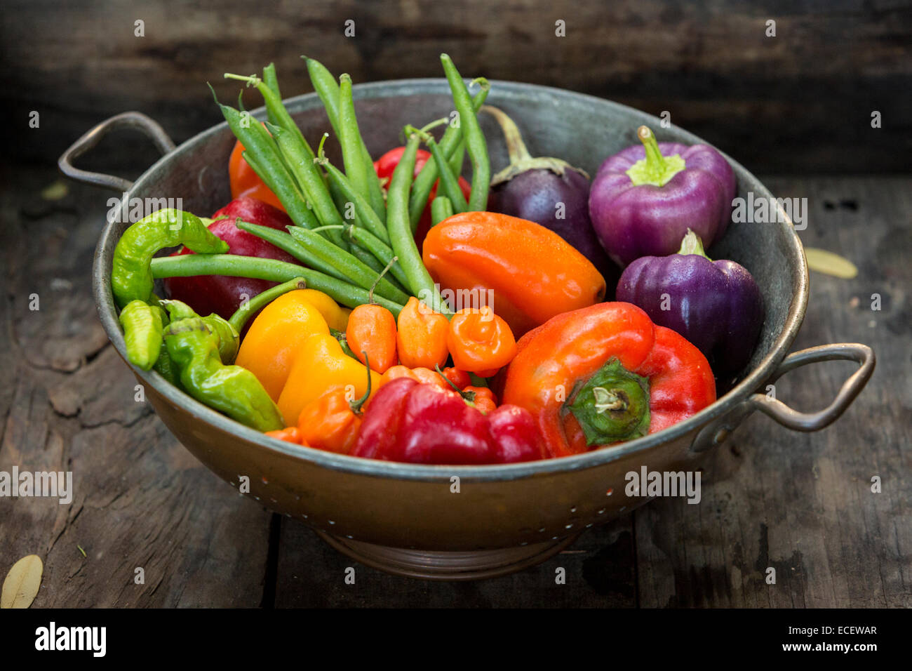 Farm Fresh Produce in einem collander Stockfoto