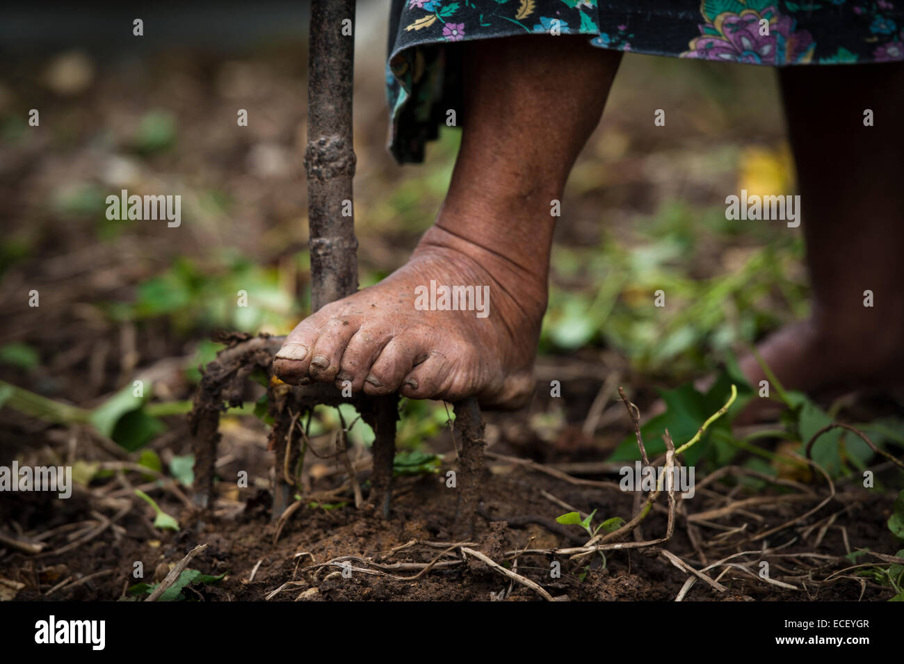 Barfuß in einem Garten mit Pitchgabel Stockfoto