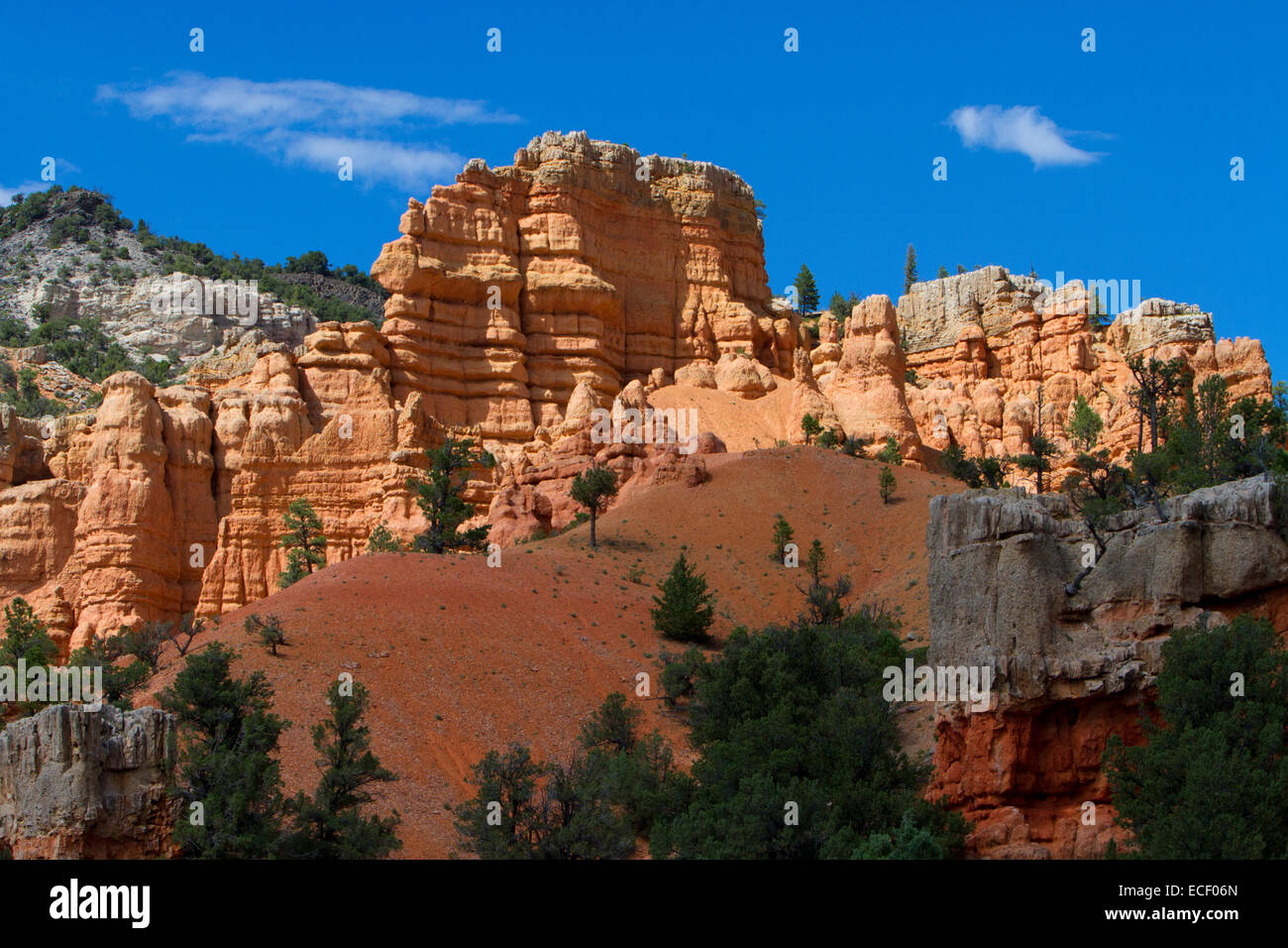 Rosa Claron Kalkstein Felsformationen am Red Canyon in den Dixie National Forest, Utah, USA im Juli Stockfoto