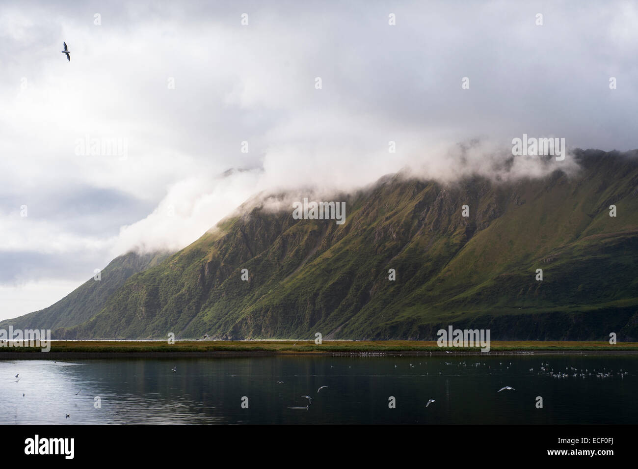 Landschaft des japanischen Bucht, Kodiak, Alaska Stockfoto