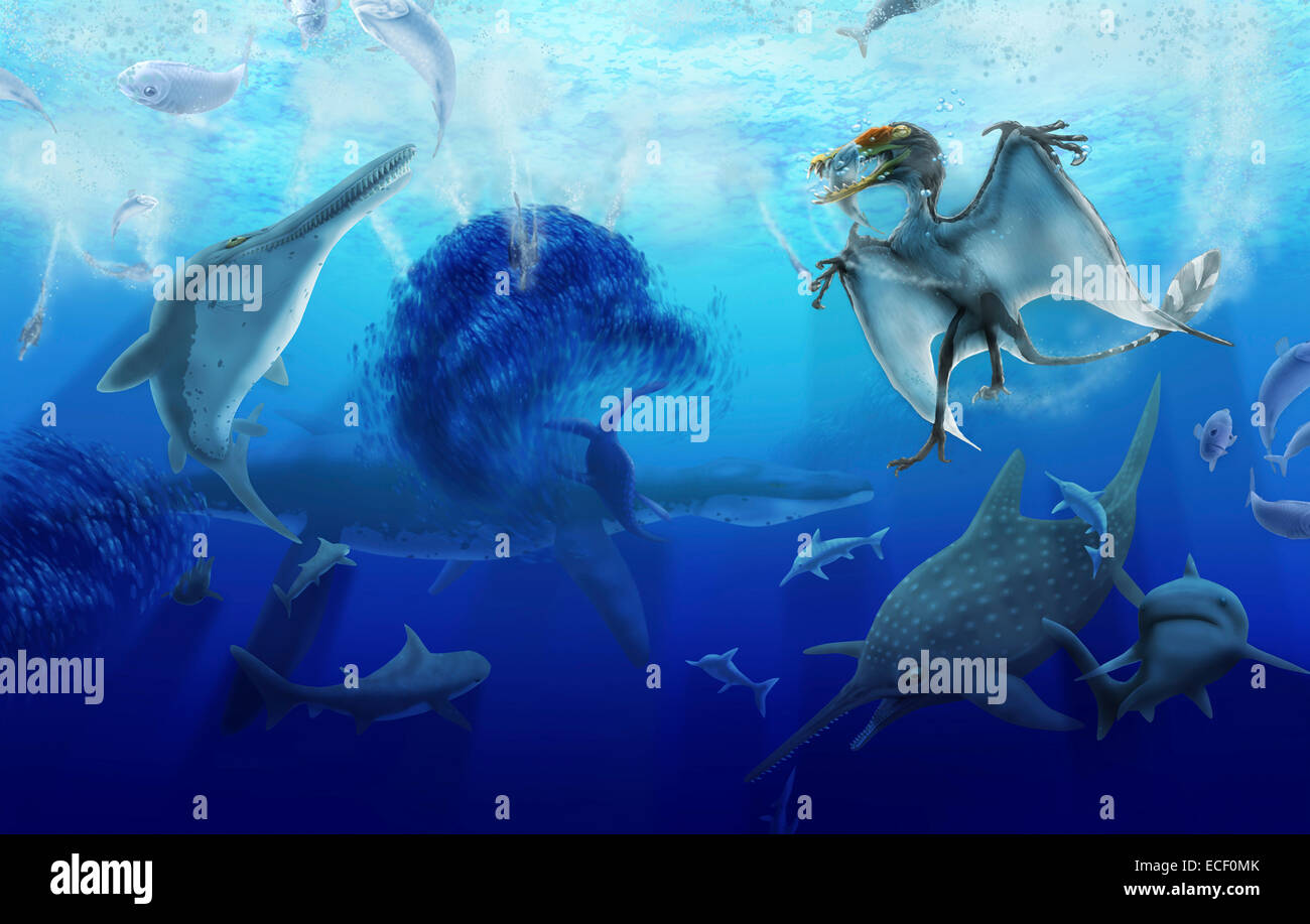 Dorygnathus banthensis Fotos und Bildmaterial in hoher Auflösung Alamy