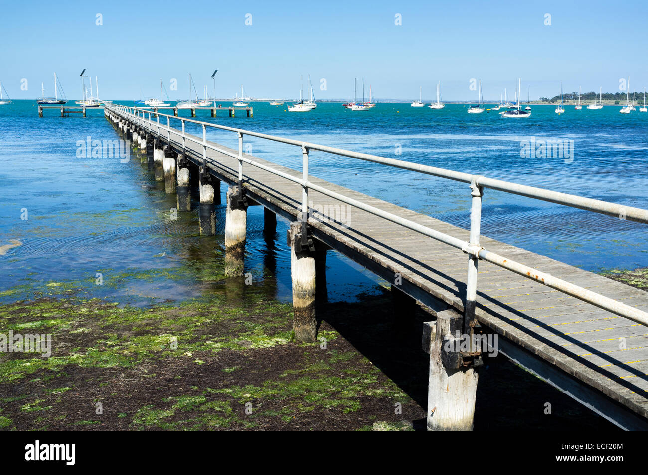 Alte hölzerne Pier Geelong, Australien. Sonnigen Sommernachmittag. Blauer Himmel und Wasser. Stockfoto