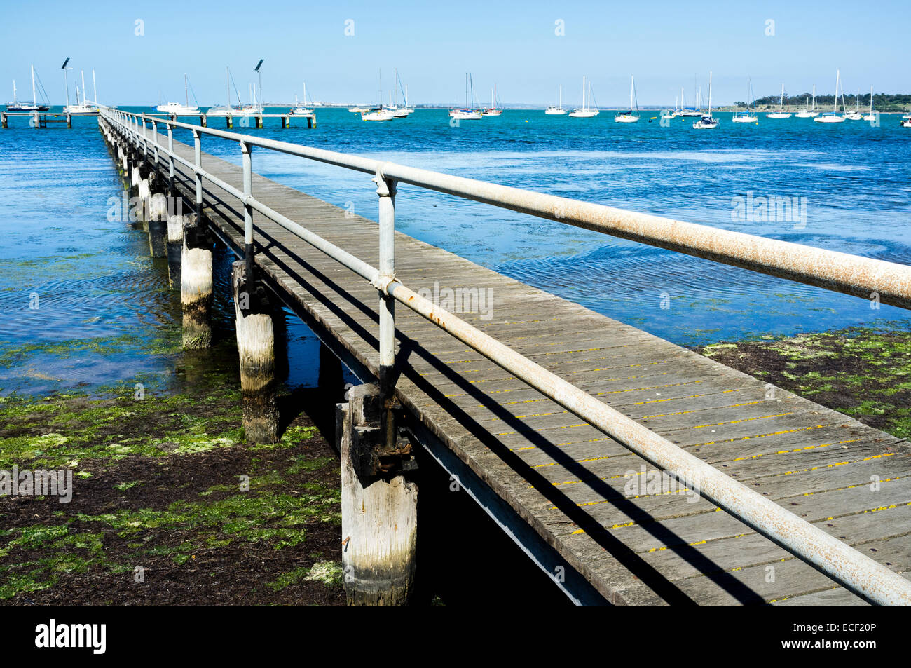 Alte hölzerne Pier Geelong, Australien. Sonnigen Sommernachmittag. Blauer Himmel und Wasser. Stockfoto