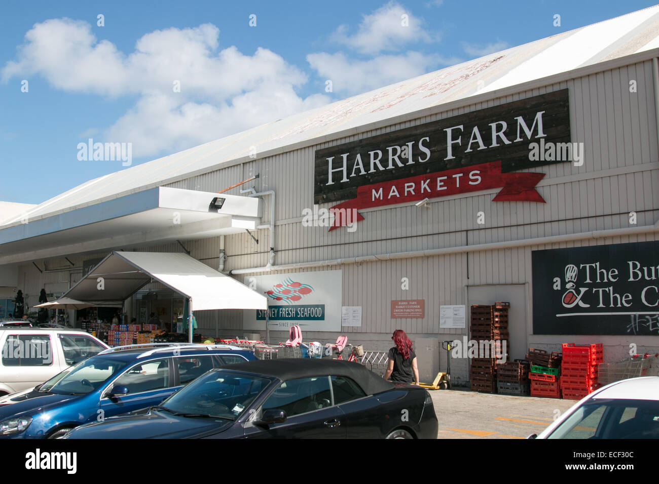 Harris Farm vermarktet männlich, Supermarkt, Lebensmittel-Einzelhändler und Lebensmittel in Sydney, Australien Stockfoto