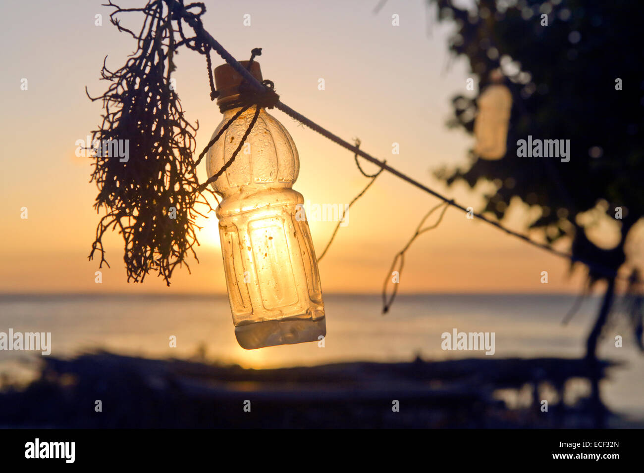 Leere Kunststoff Trinkflasche als Boje Algen landwirtschaftlich genutzt Stockfoto