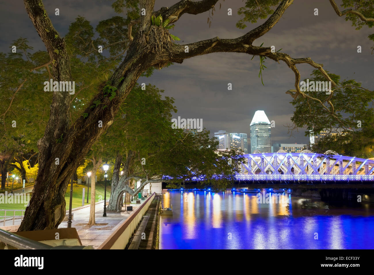 großer Baum nahe dem Fluss und die beleuchtete Skyline von Singapur von nahezu Stockfoto