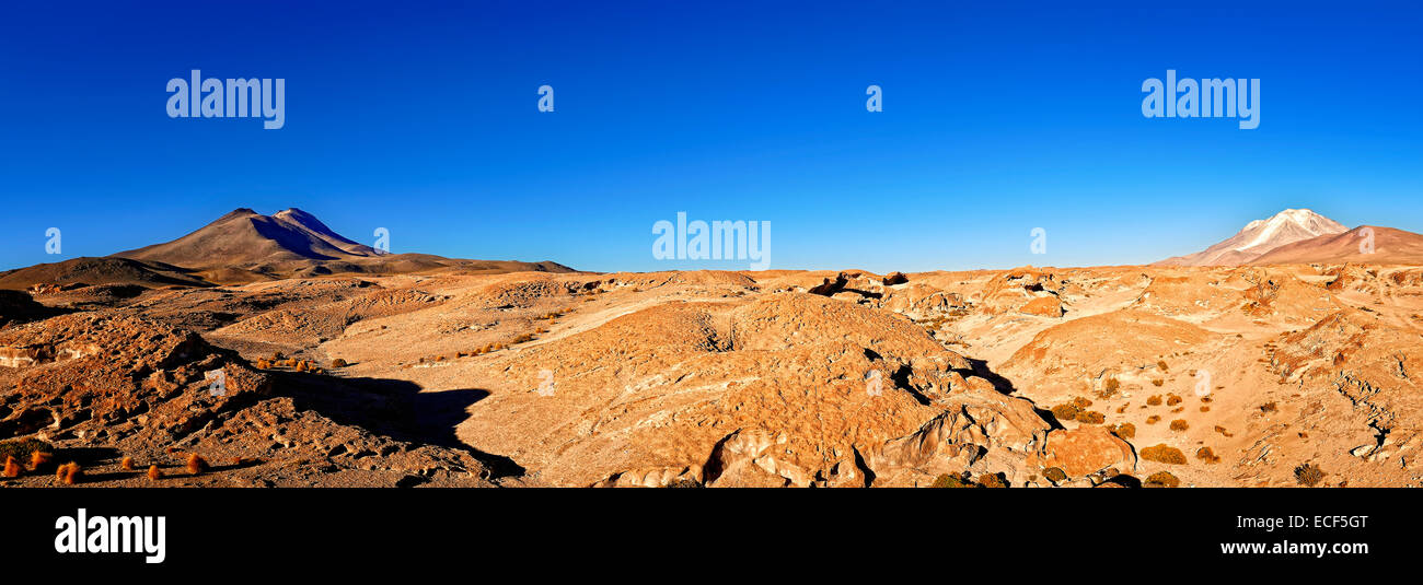 Atacama Wüste Chile Stockfoto