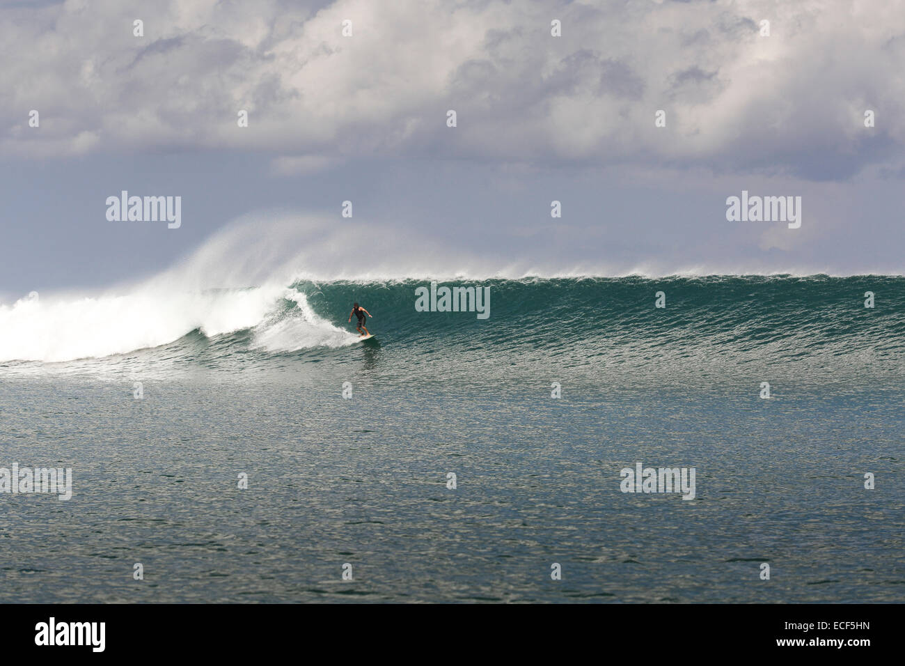 Surfen eine große Welle an Nembrala auf Rote Insel, Indonesien Stockfoto