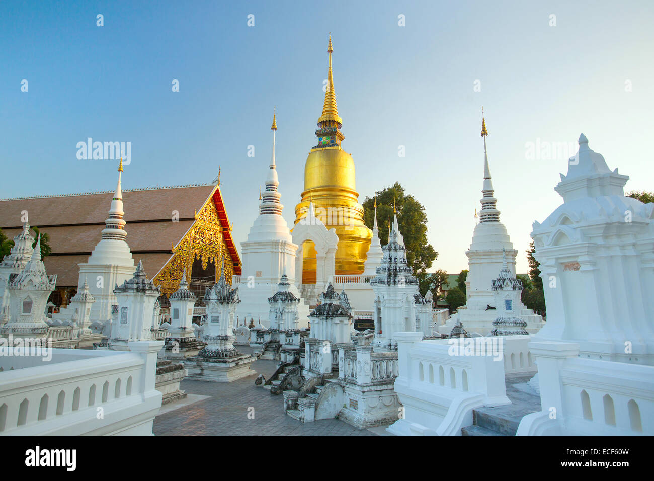 Die Goldene Pagode Wat Suan Dok Tempel in Chiang Mai, Thailand Stockfoto