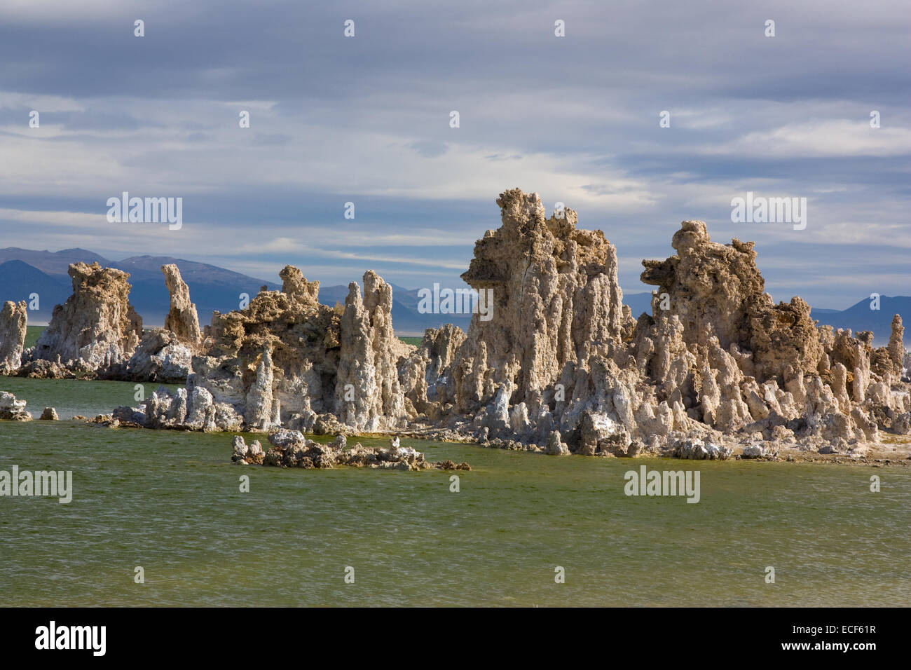 Tuffstein Türme des Mono Lake Stockfoto