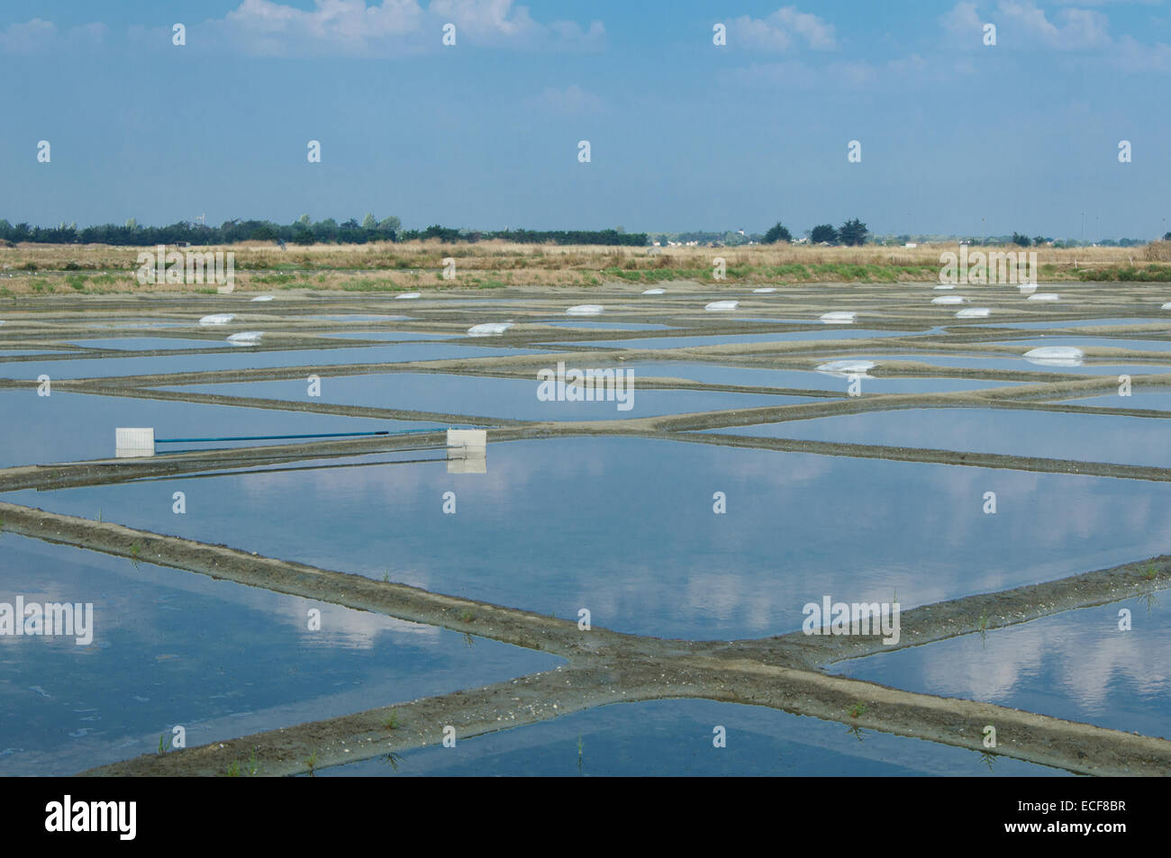 Fleur de Sel Salz Pools für die Herstellung von Salz Stockfoto