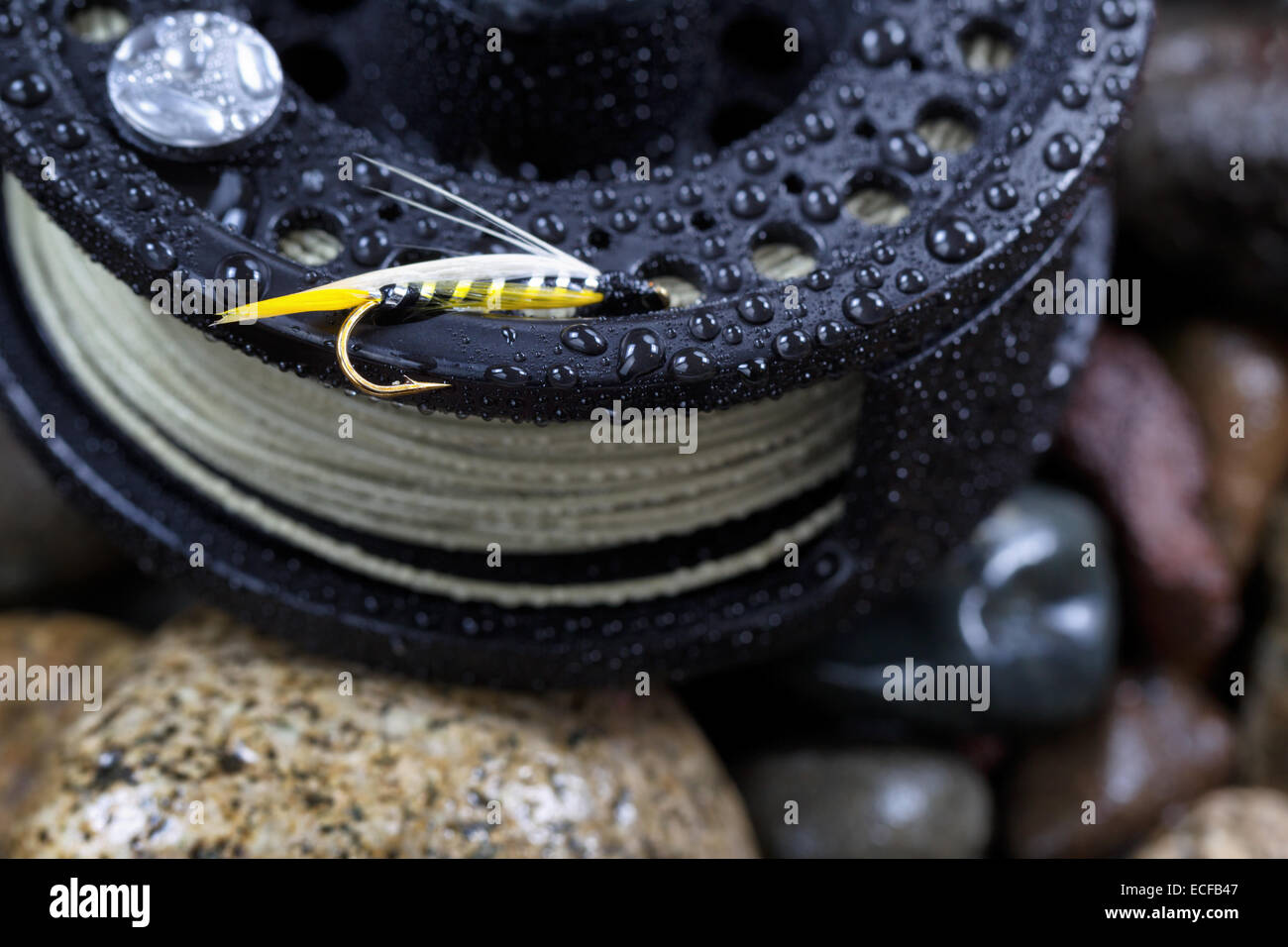 Nahaufnahme von einzelnen Forellen fliegen, Fokus auf goldener Widerhaken mit geringen Schärfentiefe auf nassen Angeln Rolle mit unscharf rive Stockfoto