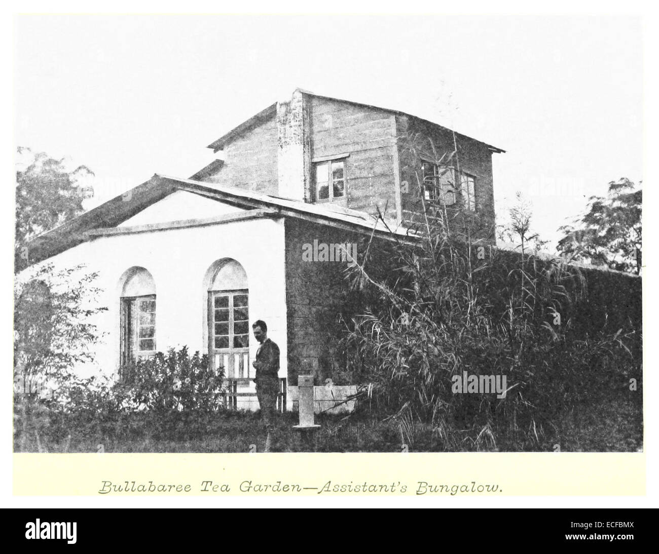 Diese Illustration von Louis aus dem Jahr 1894 zeigt den Bullabaree Tea Garden, eine wichtige Teeanbauregion. Das Kunstwerk fängt die üppige, plantagenartige Umgebung ein und betont die landwirtschaftliche Landschaft der Teeproduktion. Stockfoto
