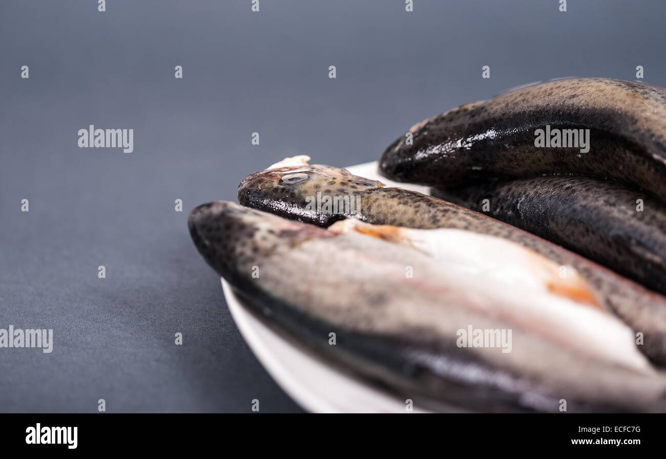 Mehrere Stücke von frischen Forellen auf Platte auf einem grauen Hintergrund Stockfoto