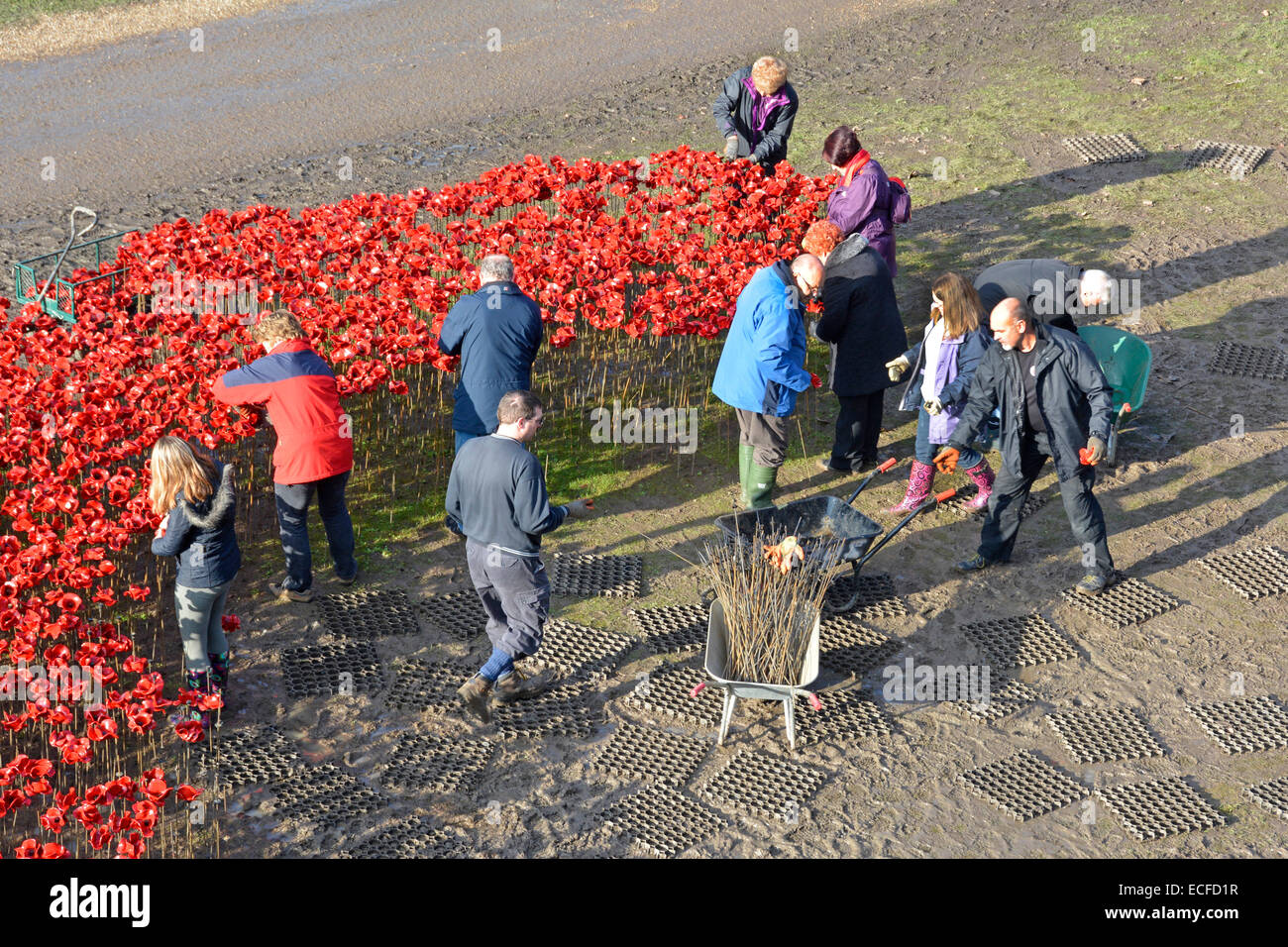 Freiwillige Helfer, Keramik Mohn (Blut fegte Ländereien & Meere rot) aus Burggraben am Tower of London nach starkem Regen zu entfernen Stockfoto