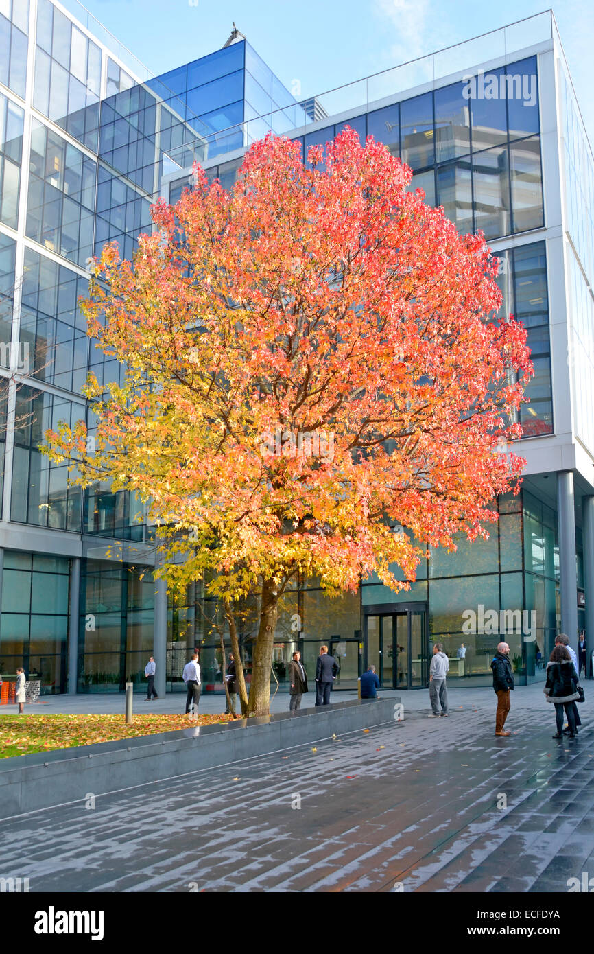 Menschen & moderne Bürogebäude Entwicklung in Bishops Square Spitalfields Herbstfarben auf Baum in feuchten herbstlichen City of London England Großbritannien Stockfoto