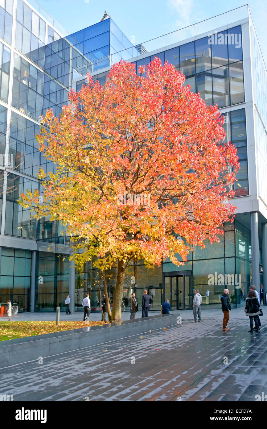 People & Modern Office Block Gebäudeentwicklung am Bishops Square Spitalfields Herbstbaum bei feuchtem Wetter London Borough of Tower Hamlets England Stockfoto