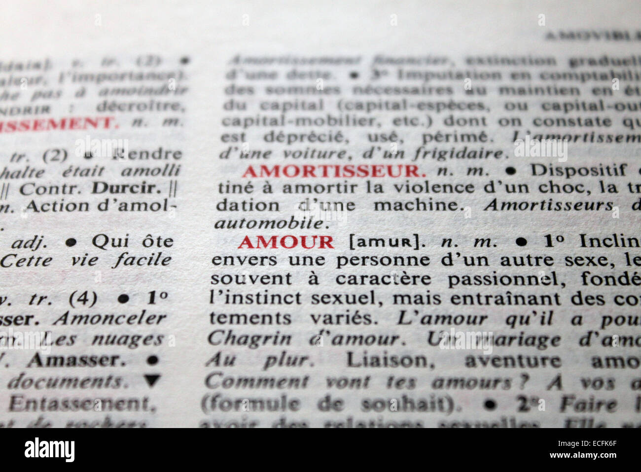 Wort-Liebe-Französisch-Wörterbuch Stockfoto