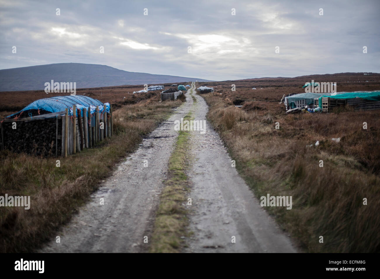 Eine alte Straße, die durch Moor, mit geschnittenen Rasen auf jeder Seite Stockfoto