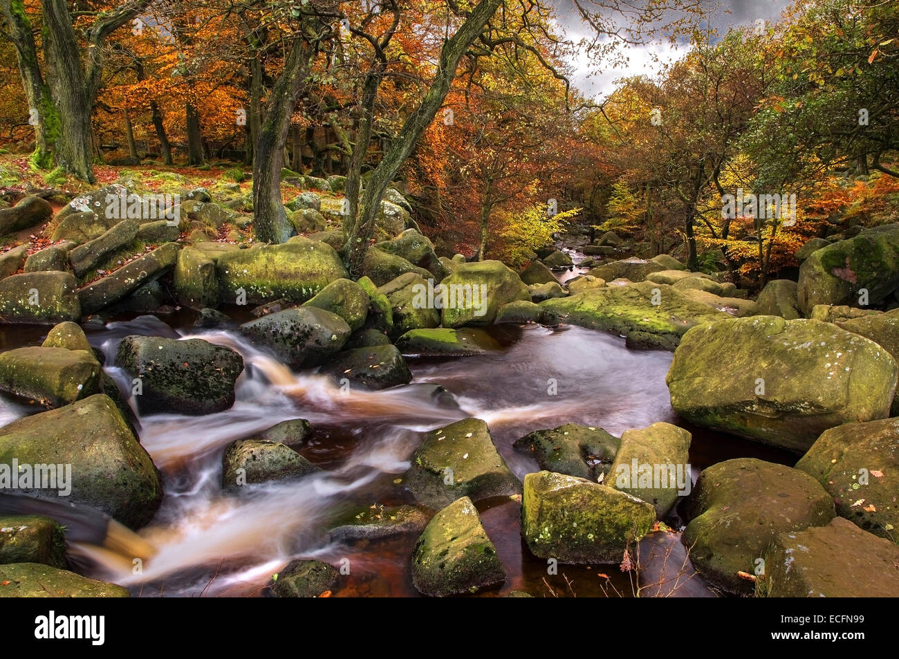 Herbst im Padley Schlucht, Sheffield, Peak District, England uk Stockfoto