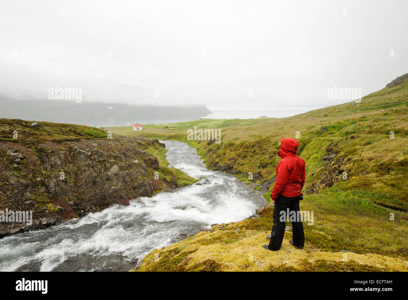 Junge Frau Wanderer. Hornstrandir, Island, Juli 2012. Stockfoto