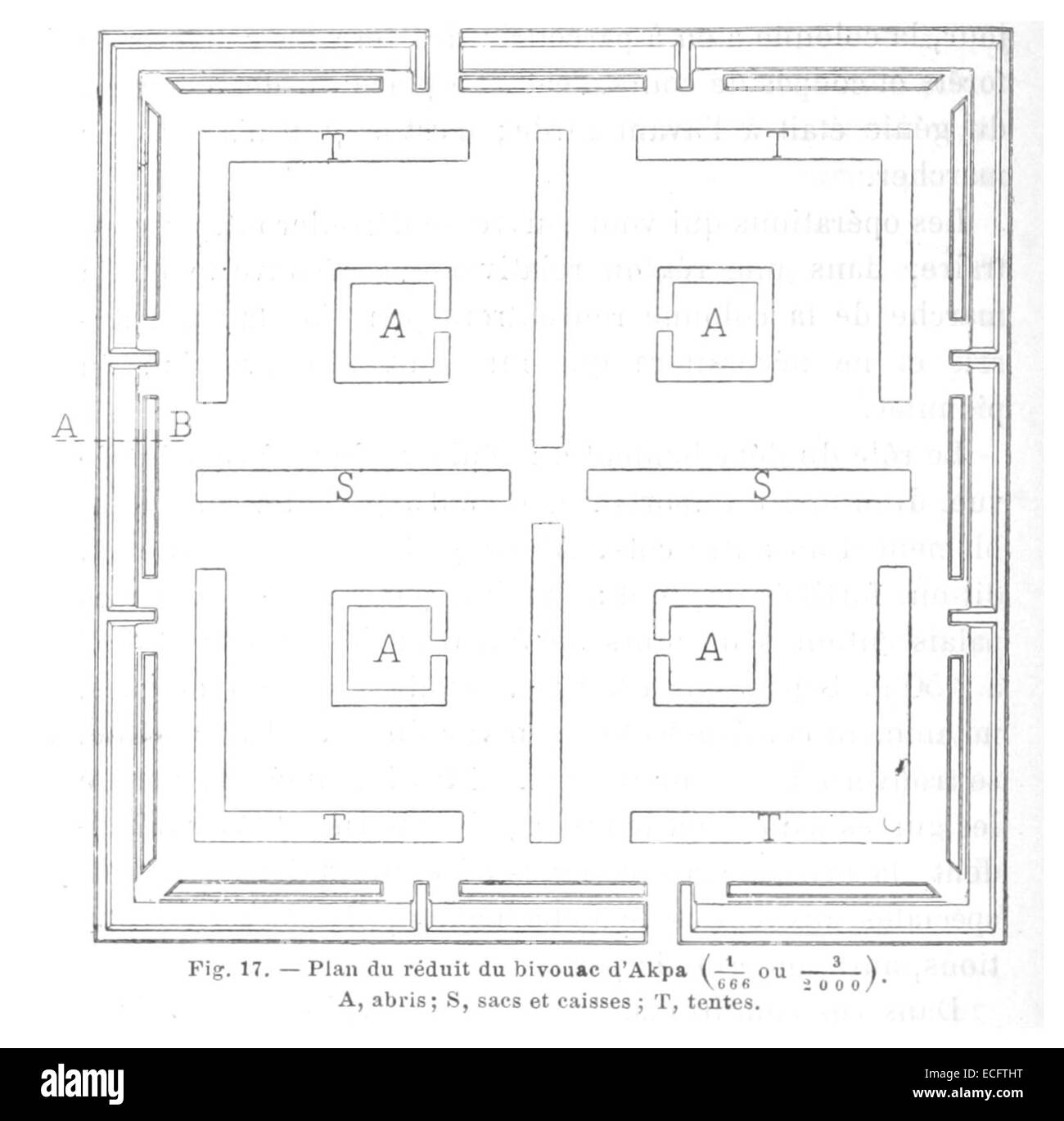 Roques(1892) p050 Fig.17 Stockfoto