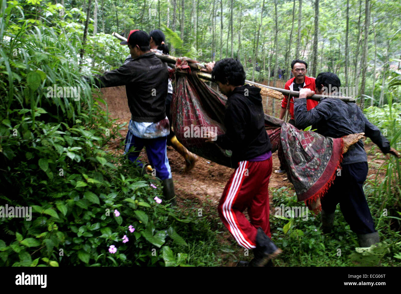 Zentraljava, Indonesien. 13. Dezember 2014. Rettungskräfte evakuieren Opfer des Erdrutsches in Banjarnegara Bezirk von Zentral-Java, Indonesien, 13. Dezember 2014. Retter hatte 19 Leichen gefunden und 91 vermissten Personen zu suchen, nachdem am Freitag Erdrutschen Dutzende Häuser in Banjarnegara Bezirk von Zentral-Java aufgrund der heftigen Regenfälle begraben unterbrochen. © Nurul Imani/Xinhua/Alamy Live-Nachrichten Stockfoto