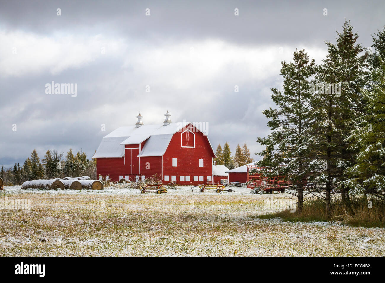 Eine rote Scheune nach einem ersten Schneefall in der Nähe von Fleetwood, Minnesota, USA. Stockfoto