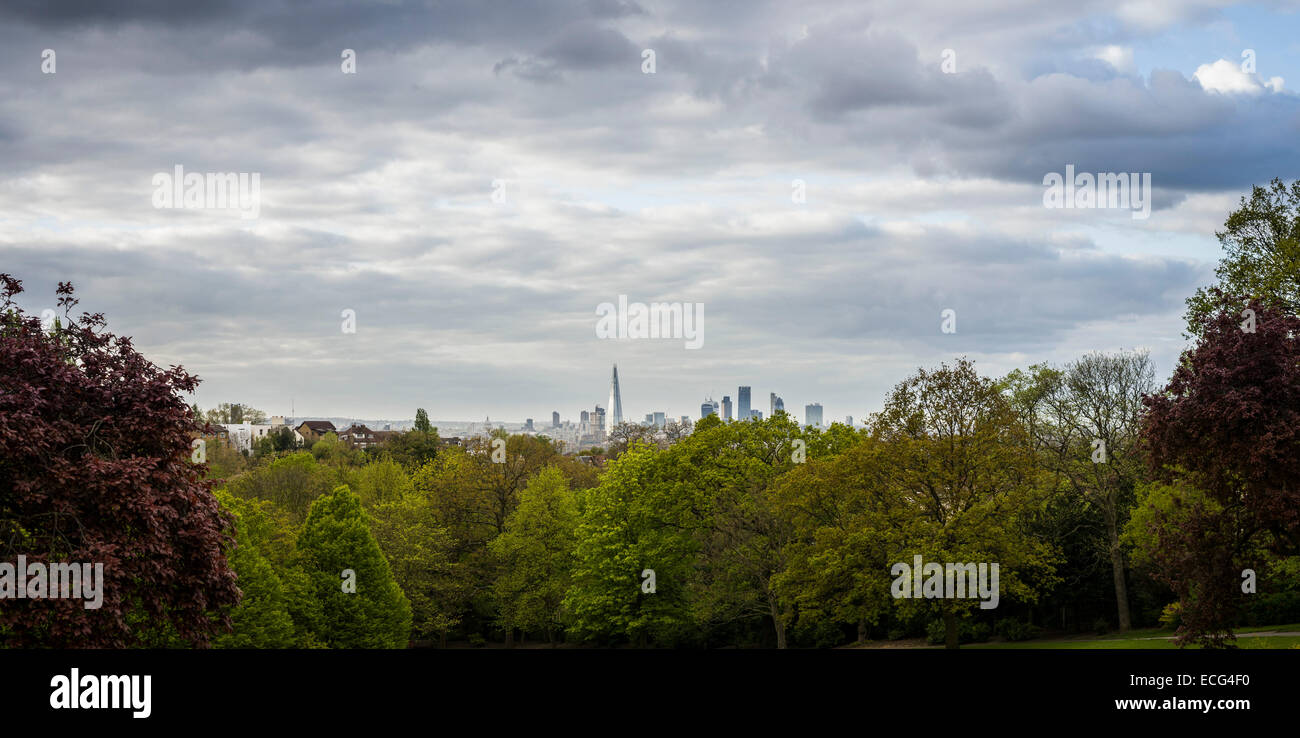 Blick vom Park in Süd-London, zentralen London Skyline einschließlich des Shards, London, UK Stockfoto