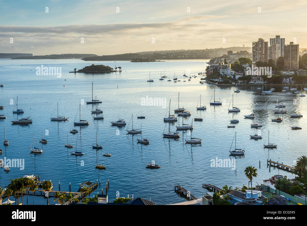 Boote, Yachten und Katamarane bob und zerren an ihren Liegeplätzen bei Sonnenaufgang, Hafen von Sydney - Australien Stockfoto