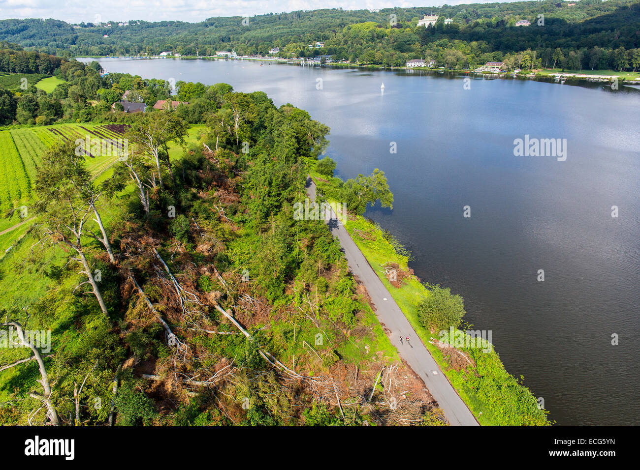 Sturmschäden im Schellenberger Wald, über den Baldeneysee, verursacht durch einen schweren Sturm Ela, über den Rhein-Ruhr-Gebiet, Stockfoto