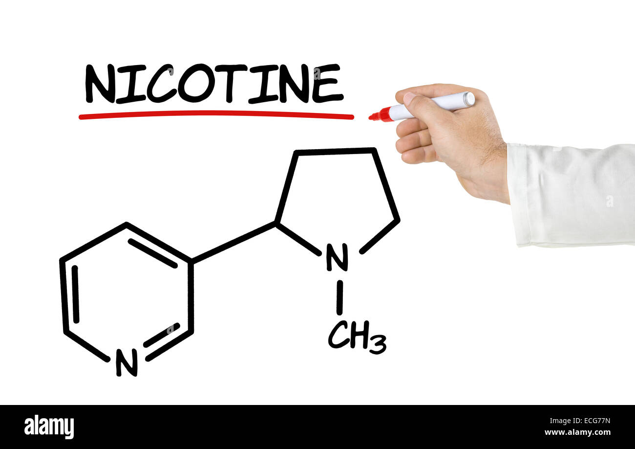 Chemische Formel des Nikotins auf weißem Hintergrund Stockfoto