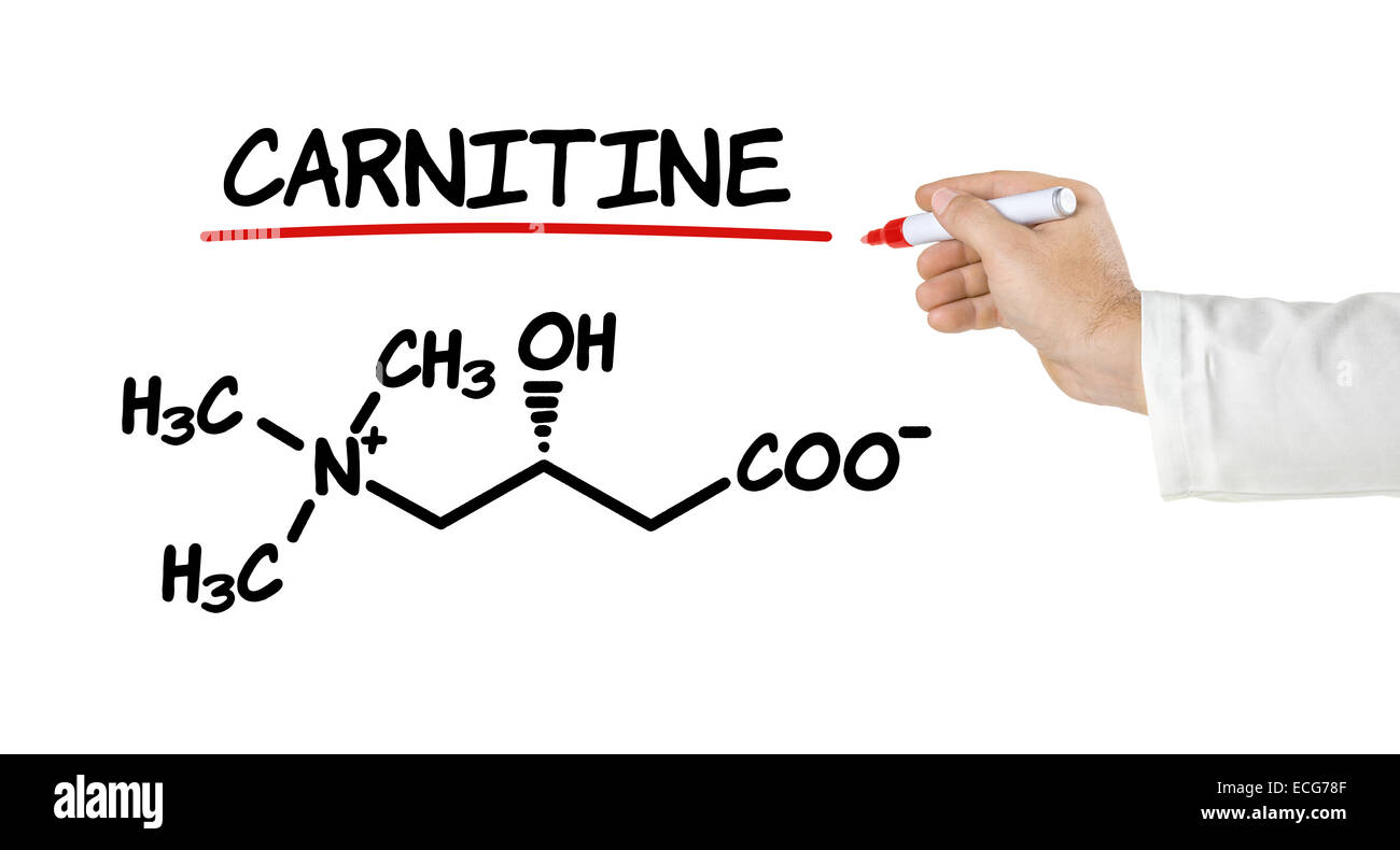 Chemische Formel von Carnitin auf weißem Hintergrund Stockfoto