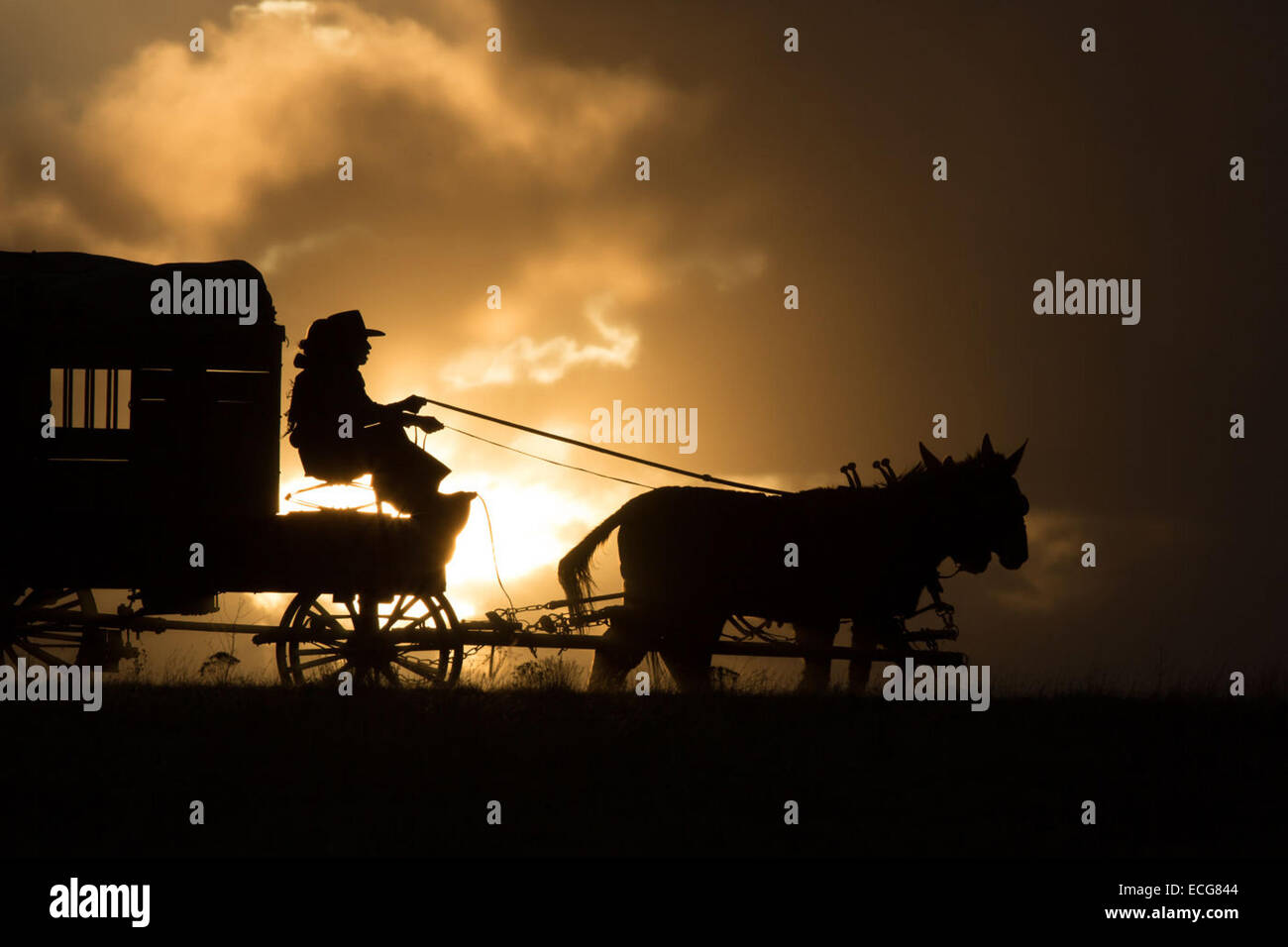 Der Homesman ist eine amerikanische Historiendrama 2014 Filmset in den 1850er Jahren Midwest produziert und unter der Regie von Tommy Lee Jones und Co-geschrieben mit Kieran Fitzgerald und Wesley Oliver, basierend auf den gleichnamigen Roman 1988 von Glendon Swarthout. Der Film Sterne Jones und Hilary Swank und verfügt auch über ein Ensemble gegossen, die Meryl Streep, Hailee Steinfeld, John Lithgow und James Spader enthält. Stockfoto