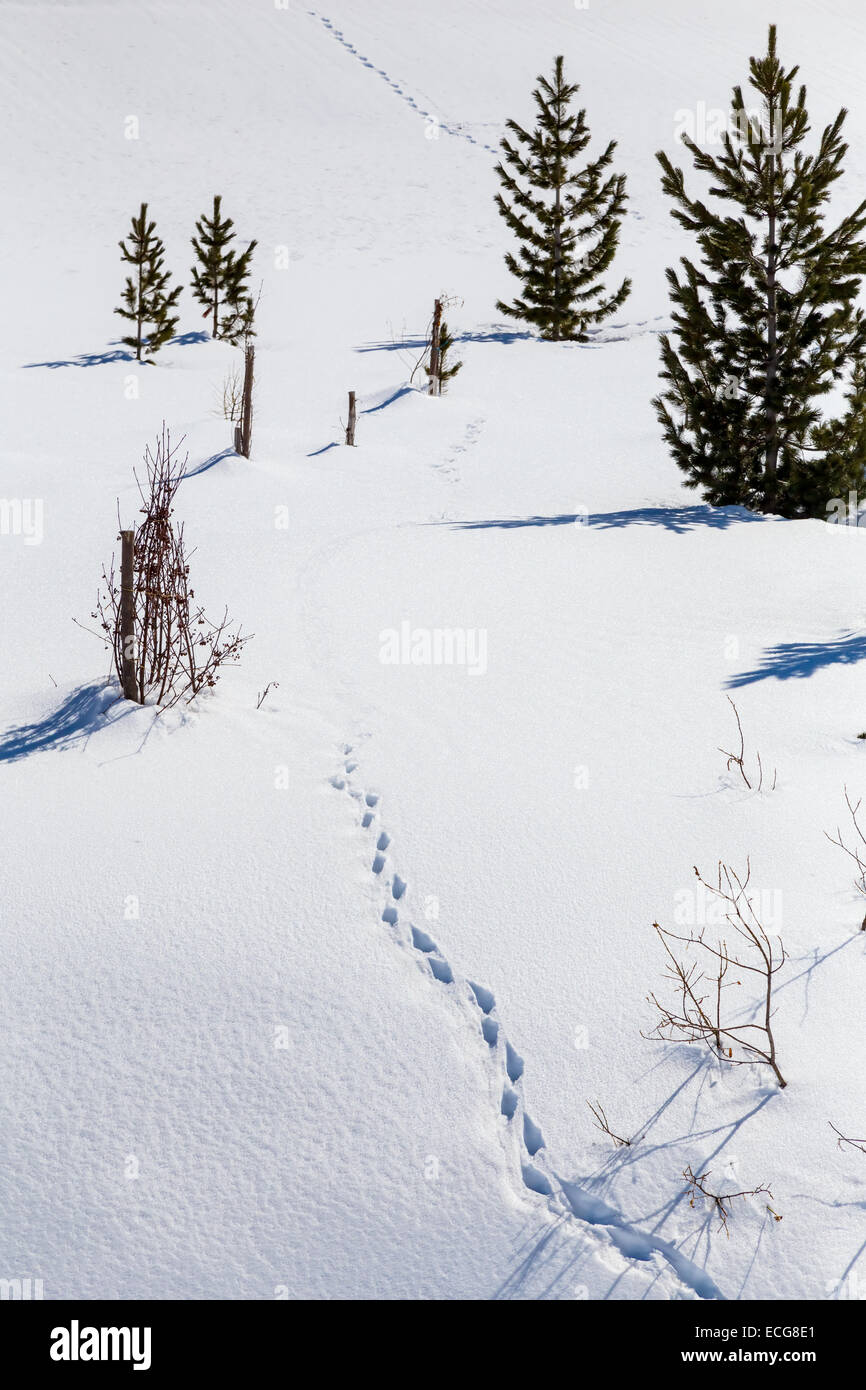 Nature landscapes -Fotos und -Bildmaterial in hoher Auflösung – Alamy
