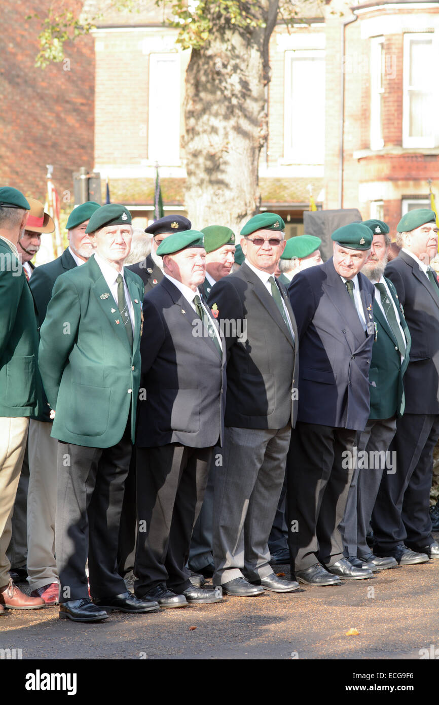 Remembrance Day Parade - Veteranen, die ihre Ehre erweisen, Bedford, England Stockfoto
