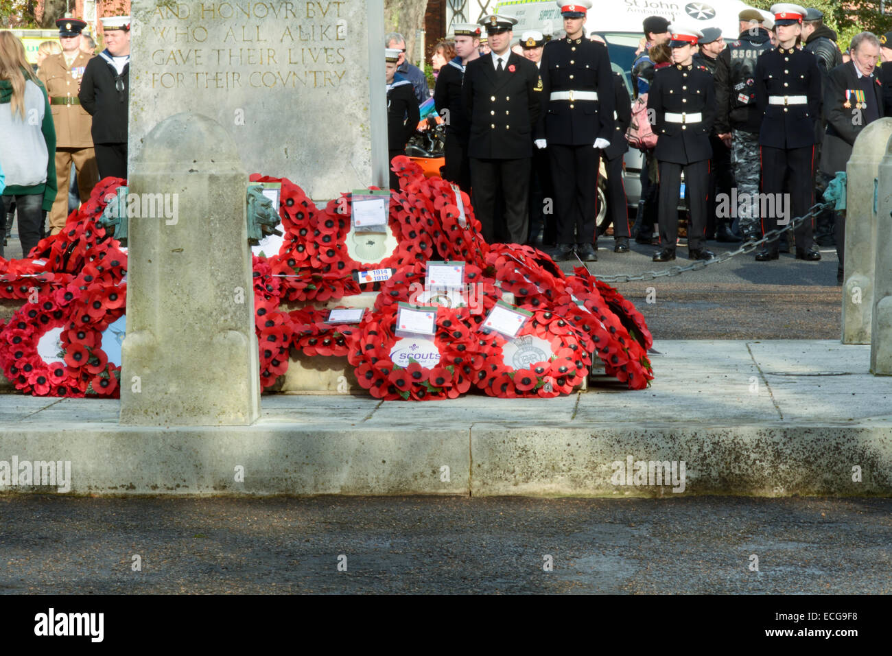 Remembrance Day Parade - Mohn Kränze am Krieg-Denkmal, Bedford England Stockfoto
