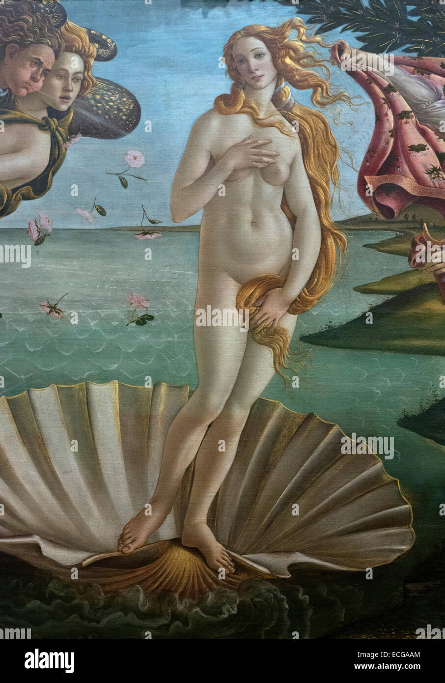 Florenz. Italien. Galerie der Uffizien. Geburt der Venus, Detail, (Ca. 1484) von Sandro Botticelli. Nascita di Venere. Galleria degli Uffizi. Stockfoto