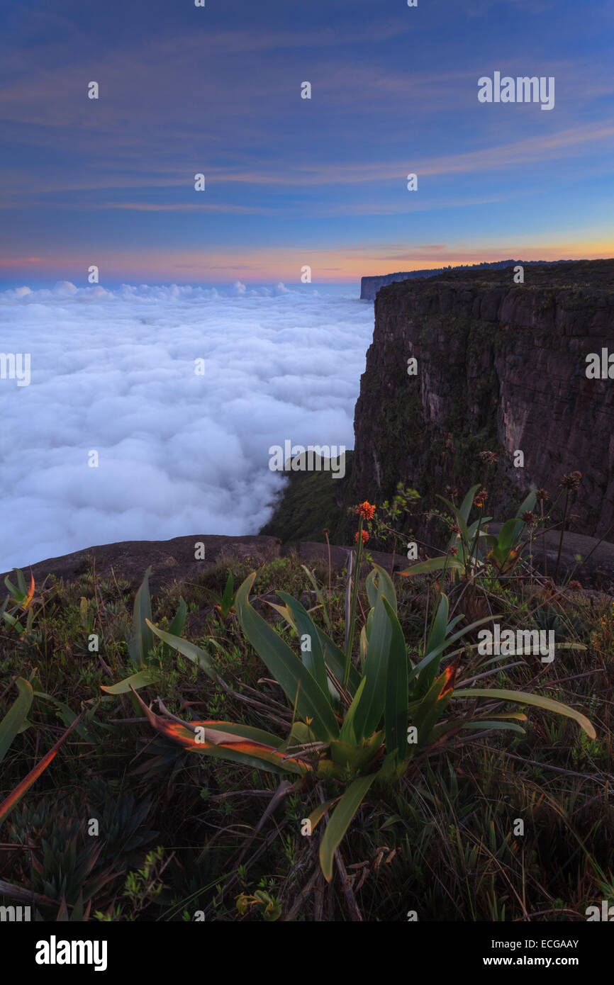 Sonnenaufgang am Mount Roraima, Venezuela. Stockfoto