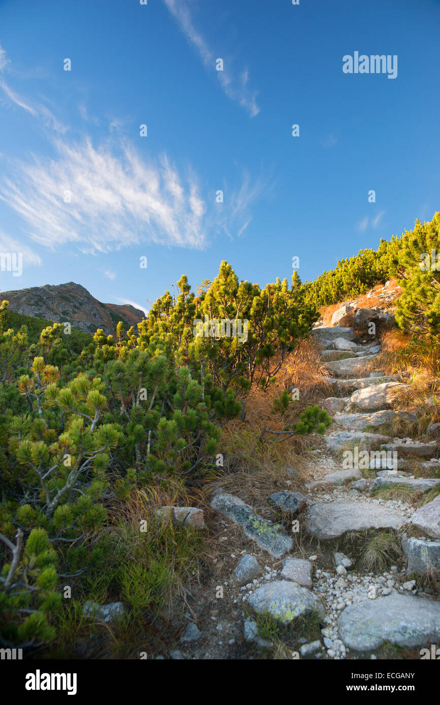 Tatra-Gebirge, sonnige Slowakei im Herbst Stockfoto