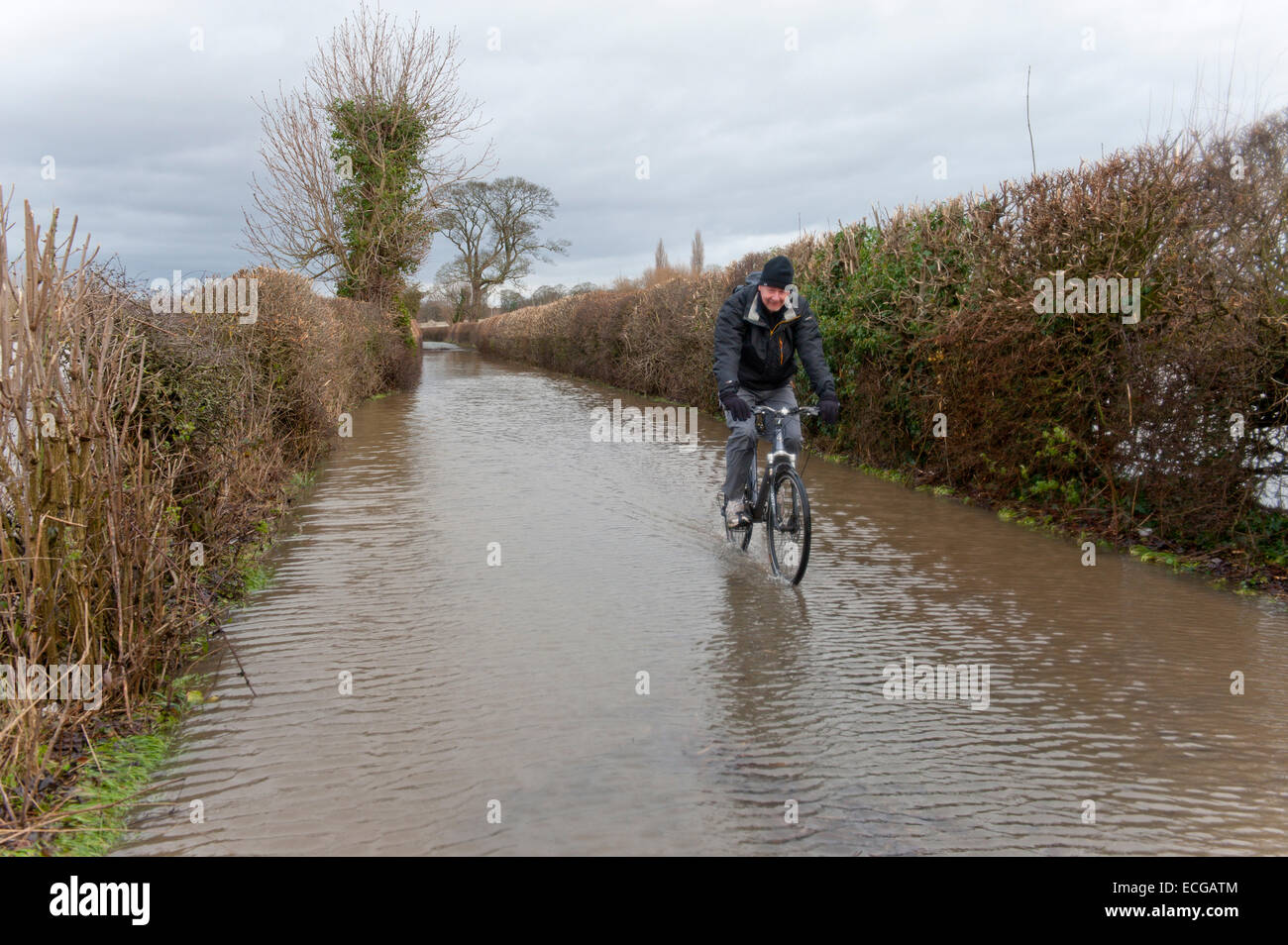 Atcham, Shropshire, UK. 14. Dezember 2014. Ein Radfahrer durchfährt einer überfluteten Straße. © Graham M. Lawrence/Alamy-Live-Nachrichten. Bildnachweis: Graham M. Lawrence/Alamy Live-Nachrichten. Stockfoto