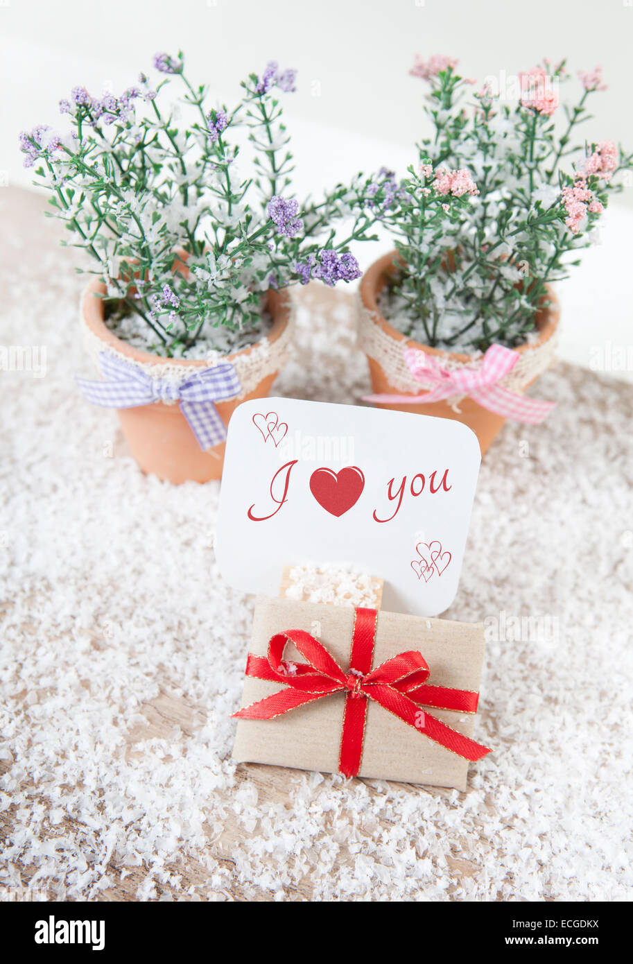 ein Geschenk liegt im Schnee mit der Nachricht, dass ich dich Liebe. Blumen im Hintergrund Stockfoto